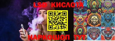 прущие грибы Донецк