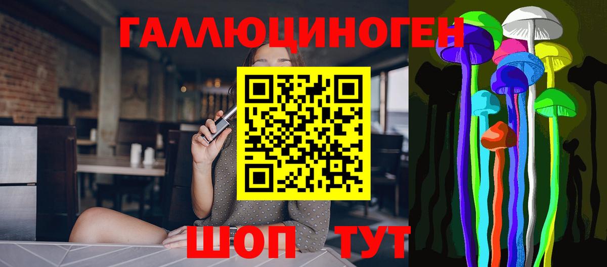Псилоцибиновые грибы Psilocybine cubensis  Вход с VPN  Новозыбков 